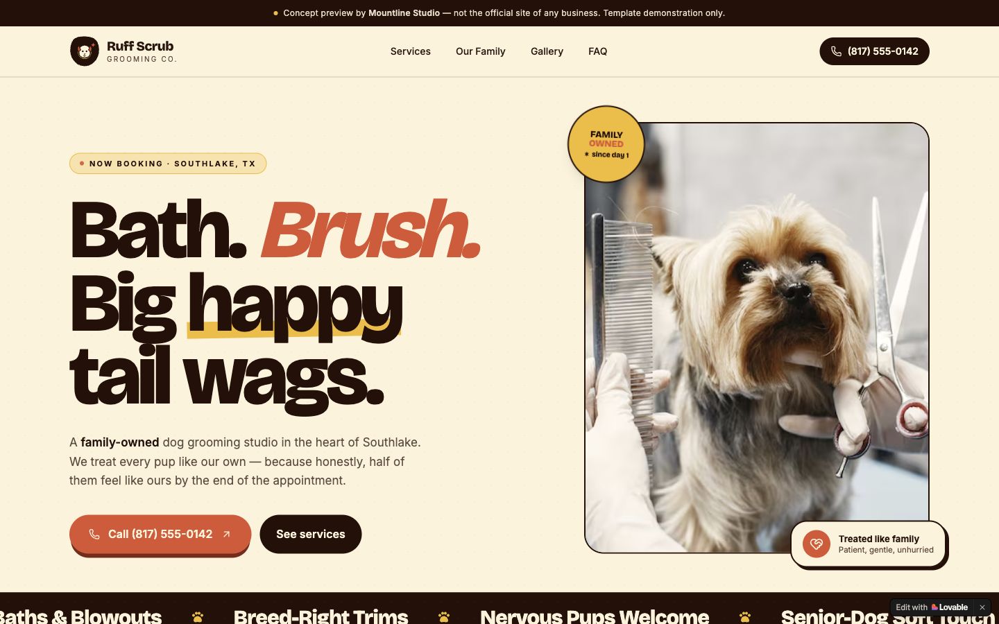 Dog grooming website concept preview
